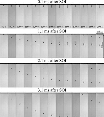 A Specifically Designed Injector for Controlled Lube Oil Addition in View of Investigation of Pre-Ignition Phenomena in Dual–Fuel/Gas Engines